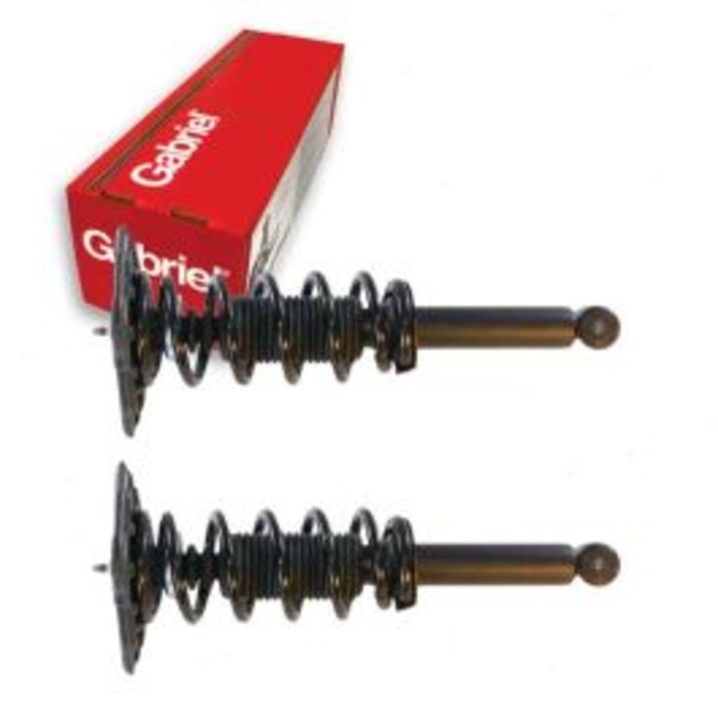 2 pc Gabriel ReadyMount Rear Suspension Strut Assemblys for 2002-2006 Nissan Sentra