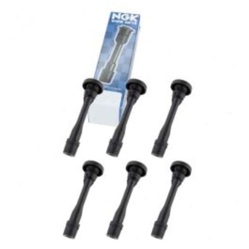 6 pc NGK 58917 Ignition Coil Boots