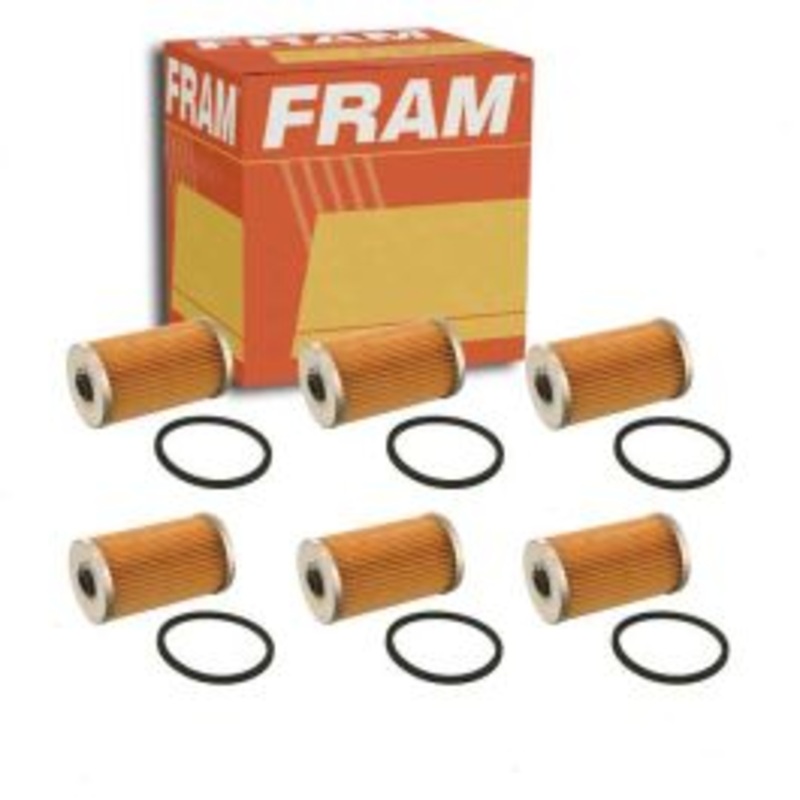 6 pc FRAM CG20 Fuel Filters
