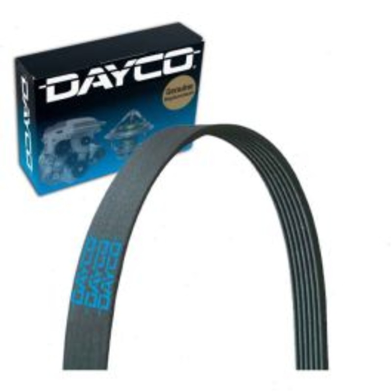 Dayco 5050370 Serpentine Belt