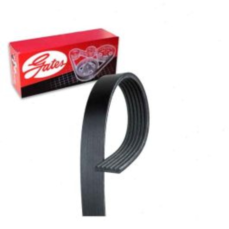 Gates Micro-V Serpentine Belt for 2006-2011 Mercury Grand Marquis 4.6L V8