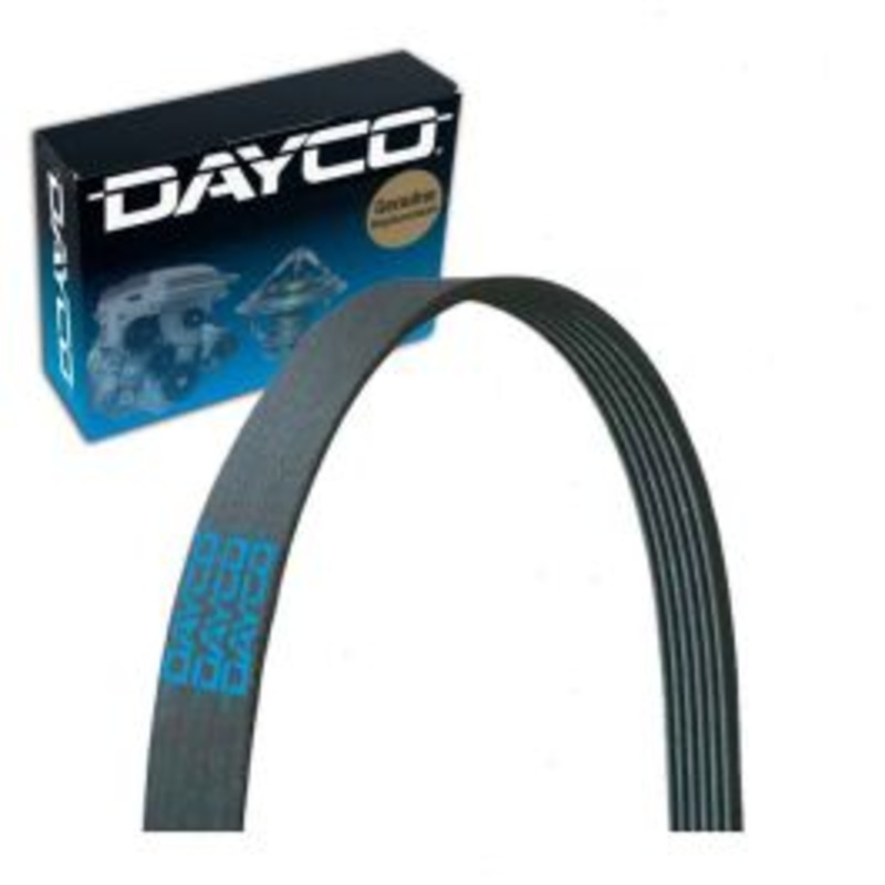 Dayco 5060950 Serpentine Belt