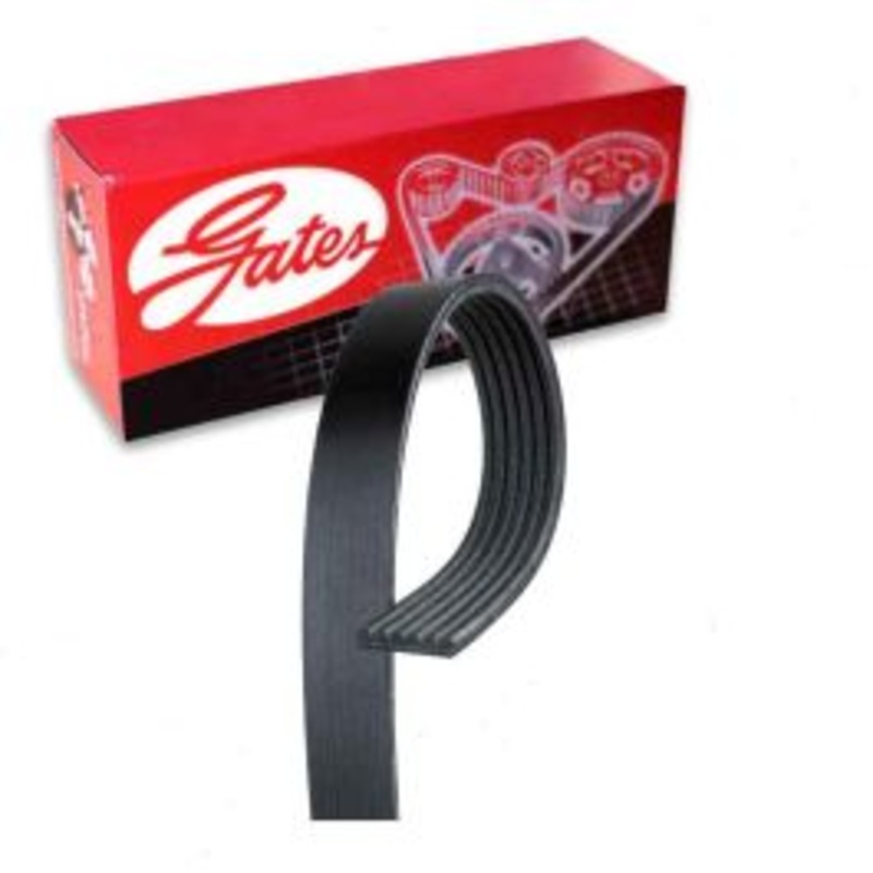 Gates Micro-V Serpentine Belt for 2018-2019 Volkswagen Atlas 3.6L V6