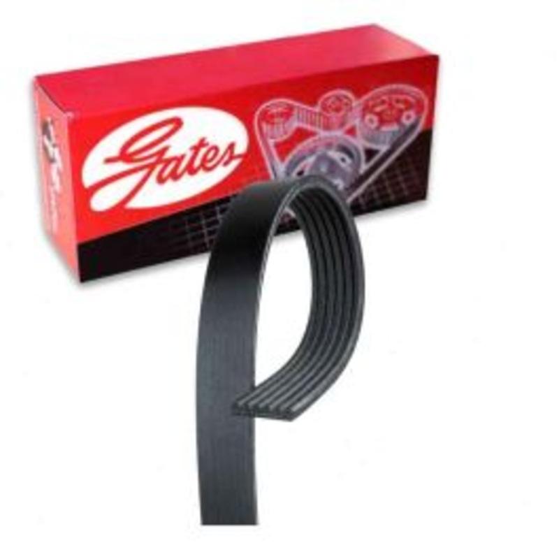 Gates Micro-V Serpentine Belt for 2018-2020 Toyota Sienna 3.5L V6